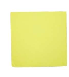 High Density Microfiber Car Towel Lint Free Texture Professional Rag for Car Dai
