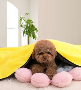 Resistant Multi Pack Machine Washable Odor Free in Stock Microfiber Pet Towel