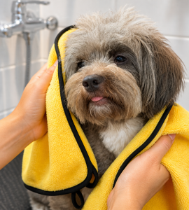 Lint Free No Pilling Small MOQ Fast Dispatch Microfiber Pet Towel